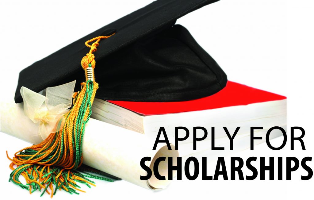 Bonny Kingdom Education Scholarship (BKETF)